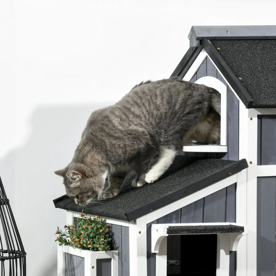 Pawhut Kattenhuis met Bloembak - Geel
