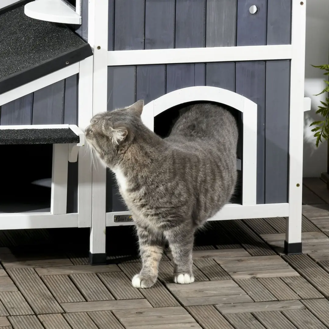 Pawhut Kattenhuis met Bloembak - Geel