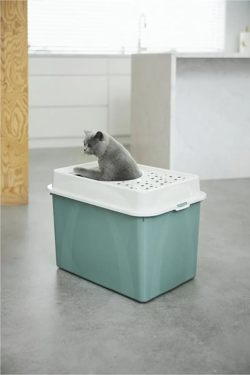 Rotho Mypet Berty Kattenbak 57x39cm - Groen