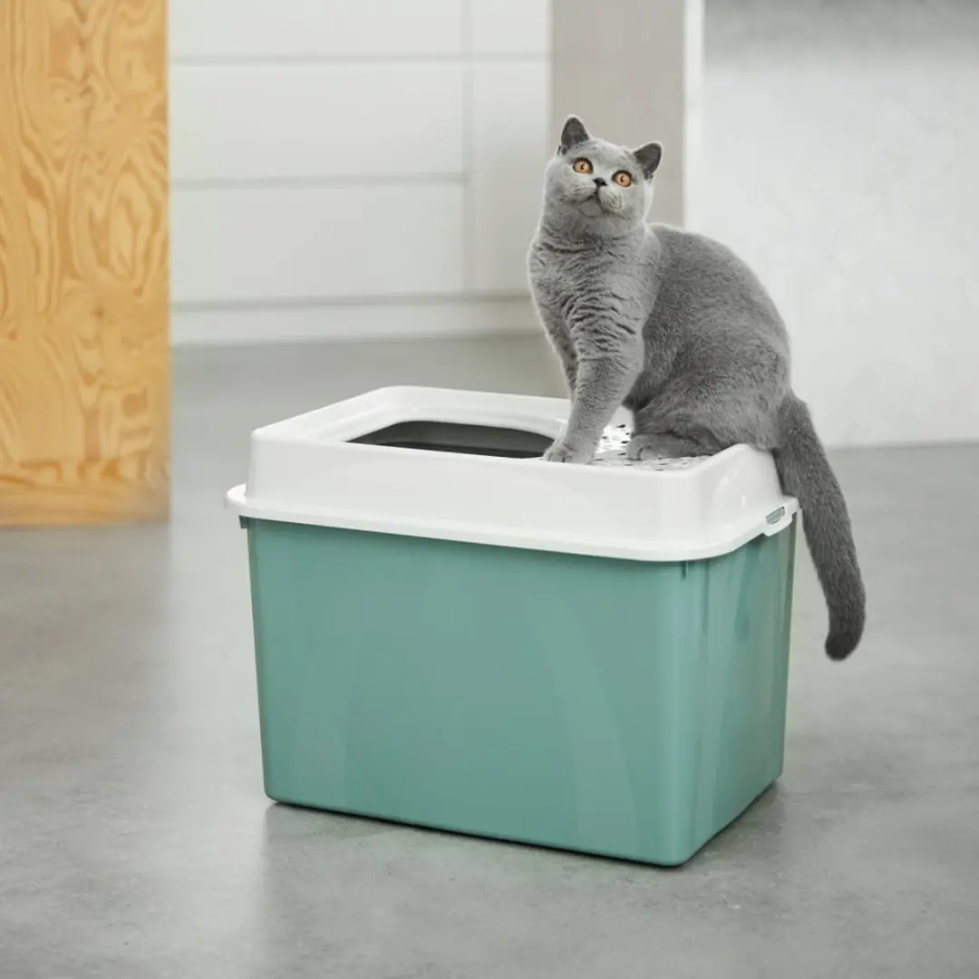 Rotho Mypet Berty Kattenbak 57x39cm - Groen