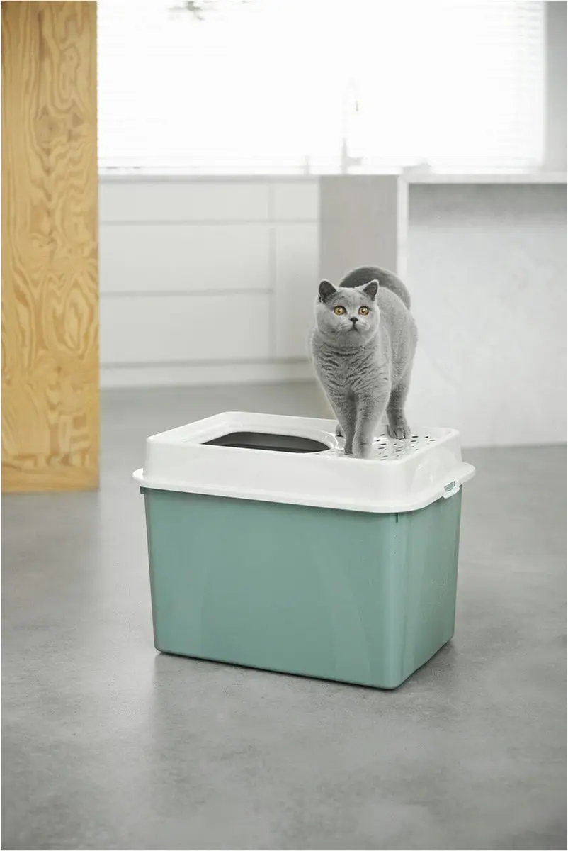 Rotho Mypet Berty Kattenbak 57x39cm - Groen