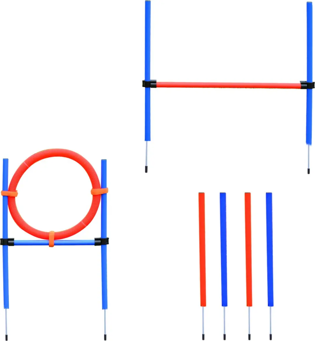 Pawhut Hunde-Agility-Set 3-in-1