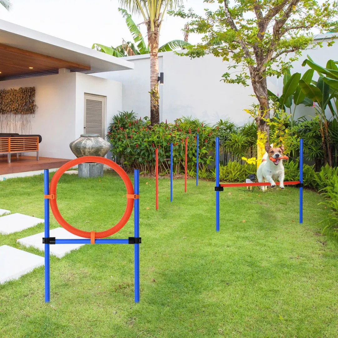 Pawhut Hunde-Agility-Set 3-in-1 - Slalom, Hürden & Sprungring - Blau/Rood