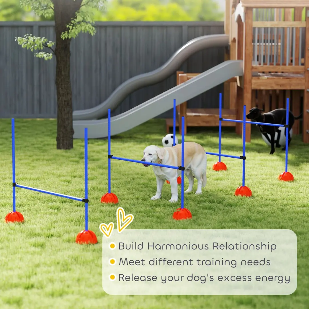 Pawhut Agility Set 5-delig - 124x19,5x103cm - Blauw/Oranje