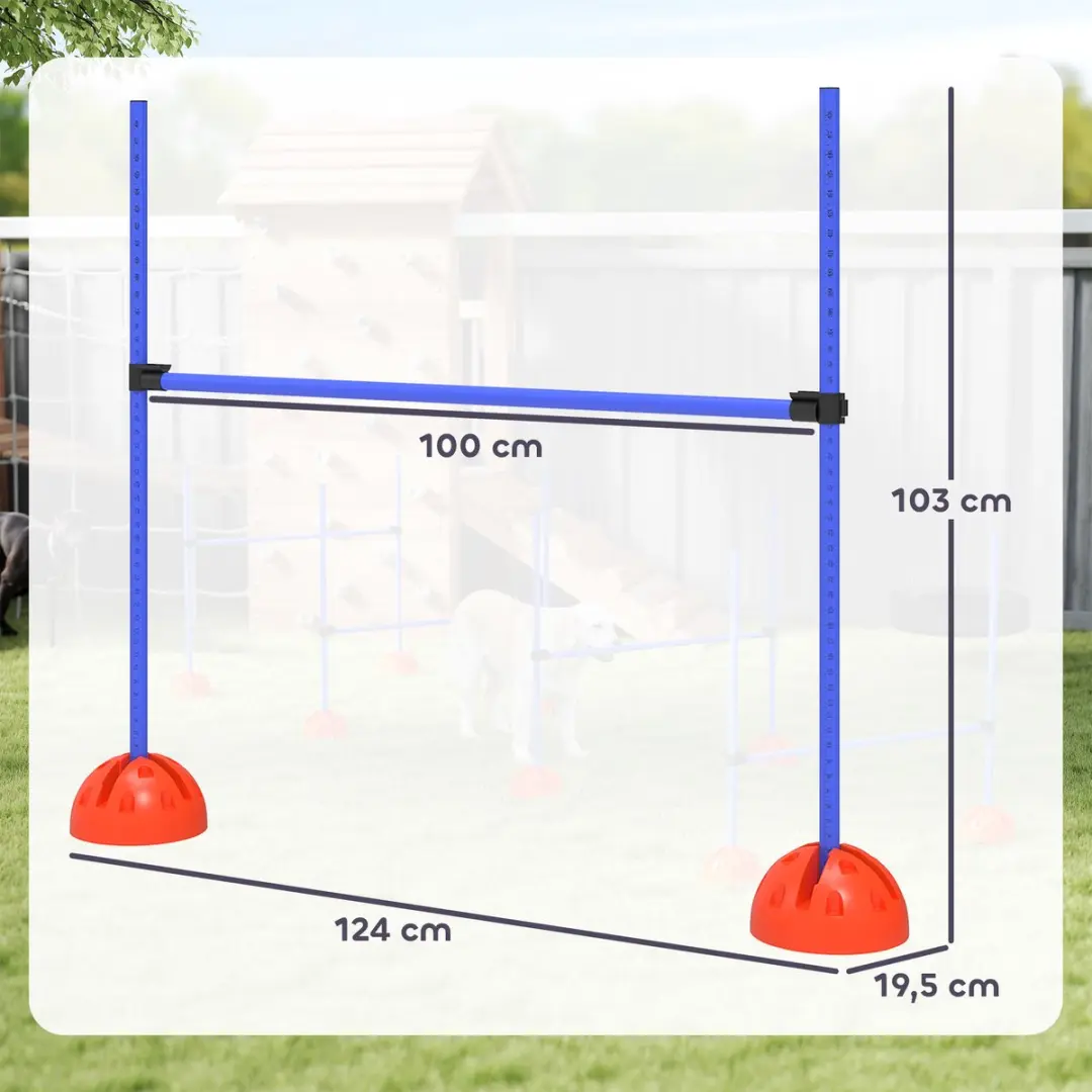 Pawhut Agility Set 5-delig - 124x19,5x103cm - Blauw/Oranje