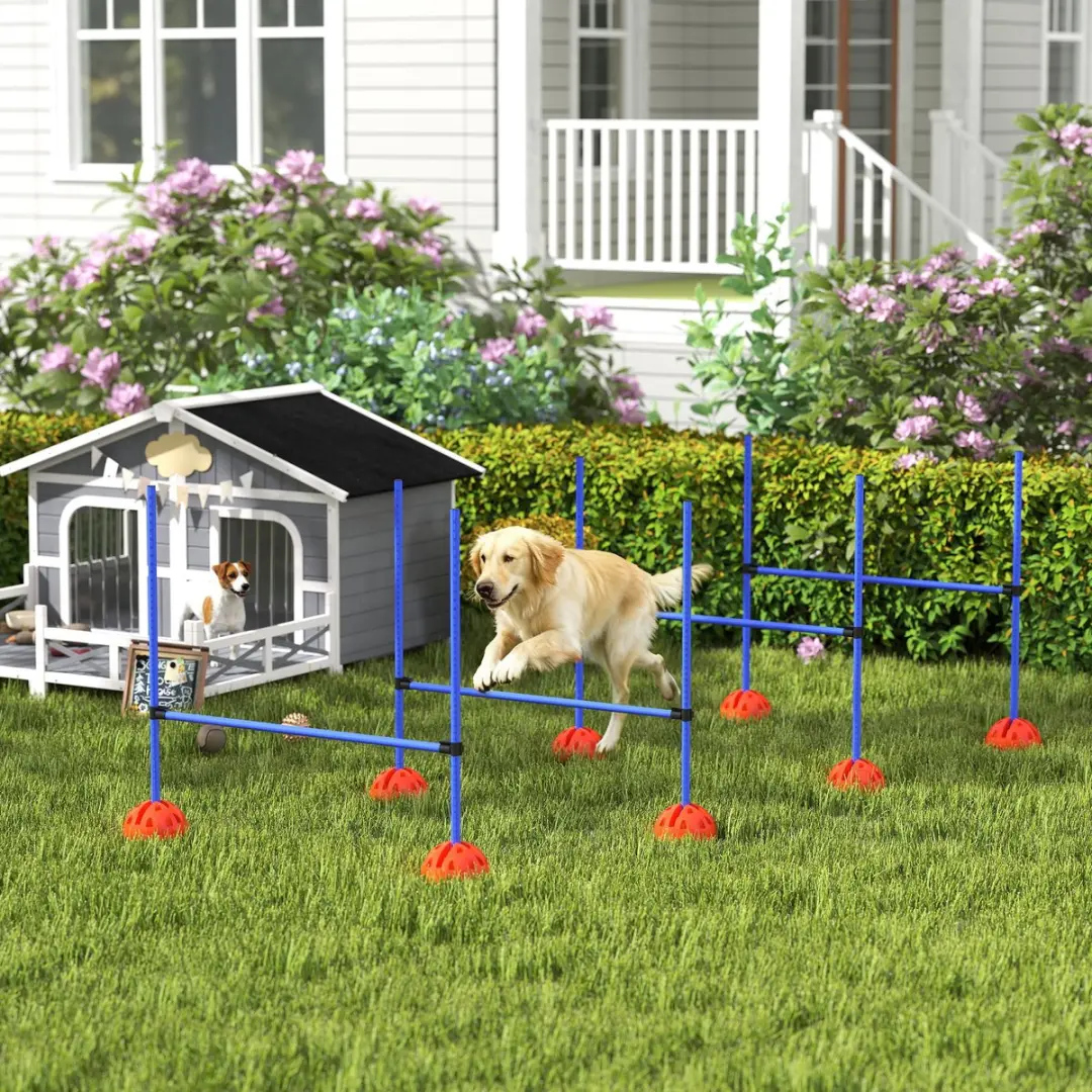 Pawhut Agility Set 5-delig - 124x19,5x103cm - Blauw/Oranje