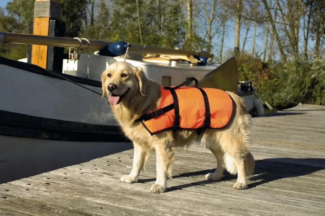 Beeztees Veiligheidsvest Hond X-LG - 41+ kg - Oranje