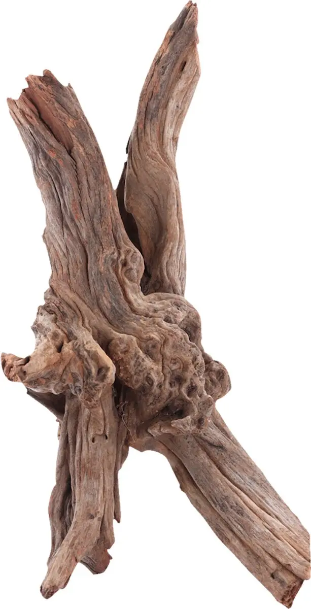 Sera Drift Wood Natuurlijk Drijfhout M