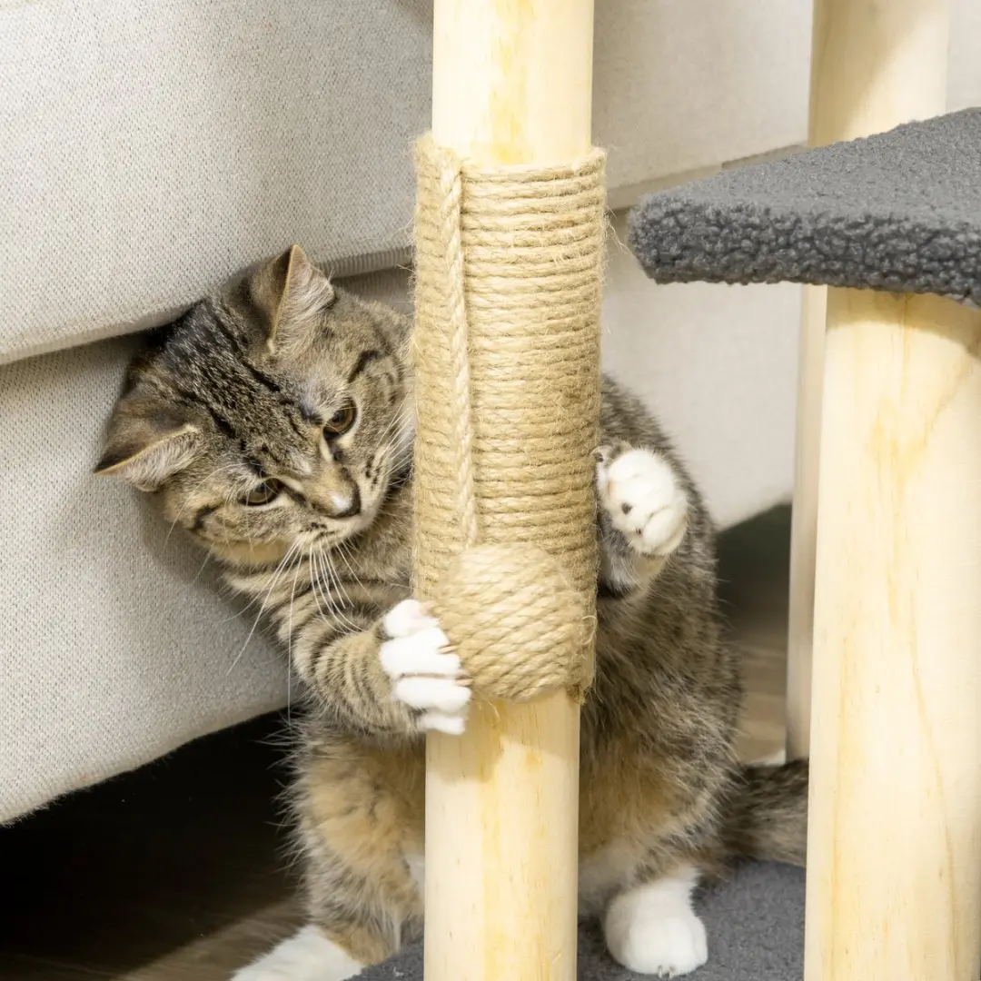 Pawhut Krabpaal met Speelbal D30-610V00 - 3 Niveaus - 3 Ligplekken