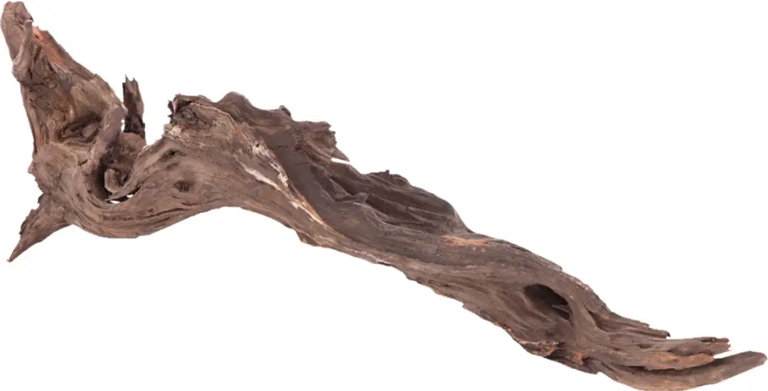 Sera Drift Wood Natuurlijk Drijfhout L