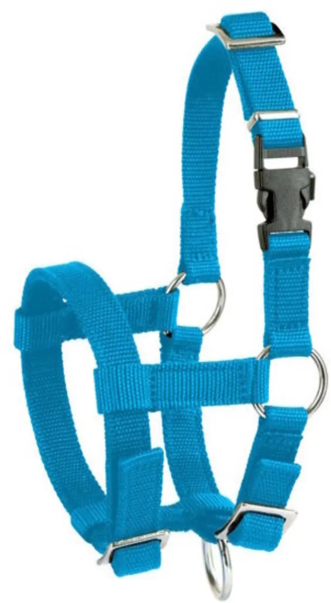 Kerbl Alpaca Halster