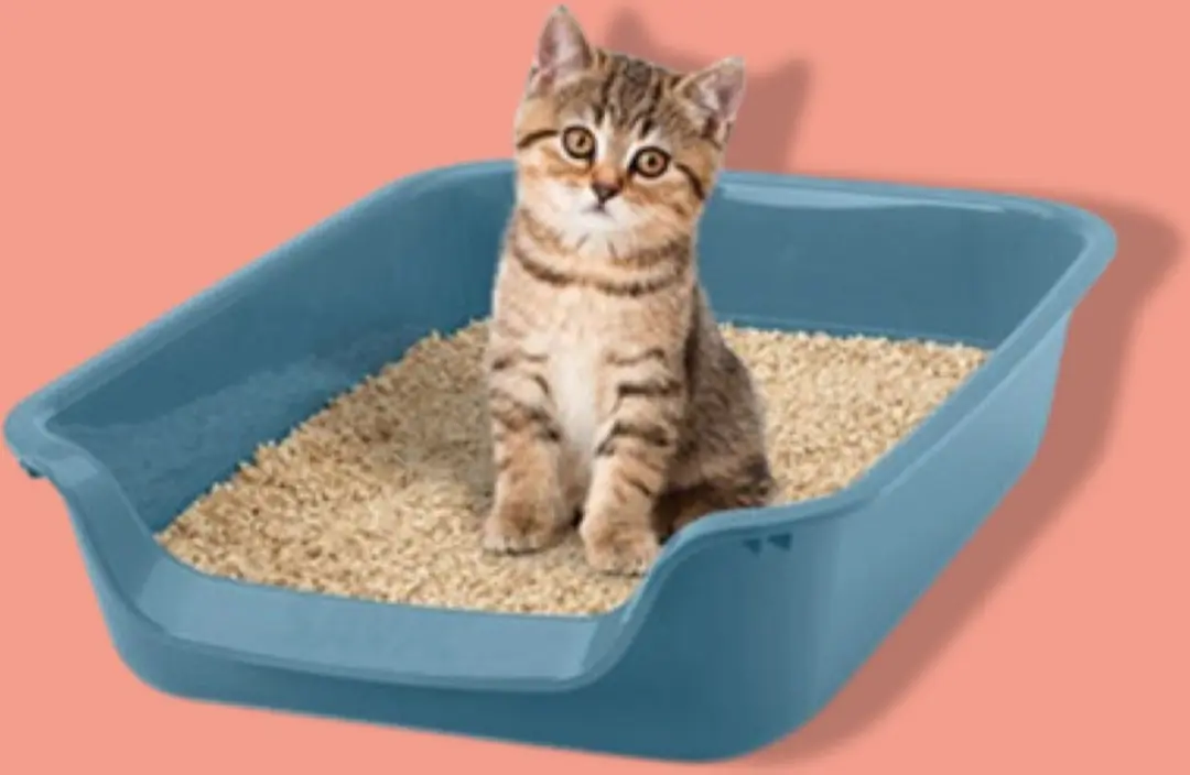 Savic Junior Kattenbak - Blauw