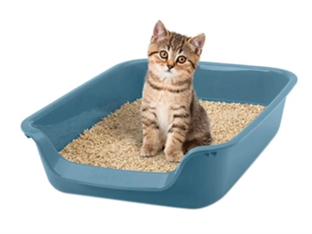 Savic Junior Kattenbak - Blauw