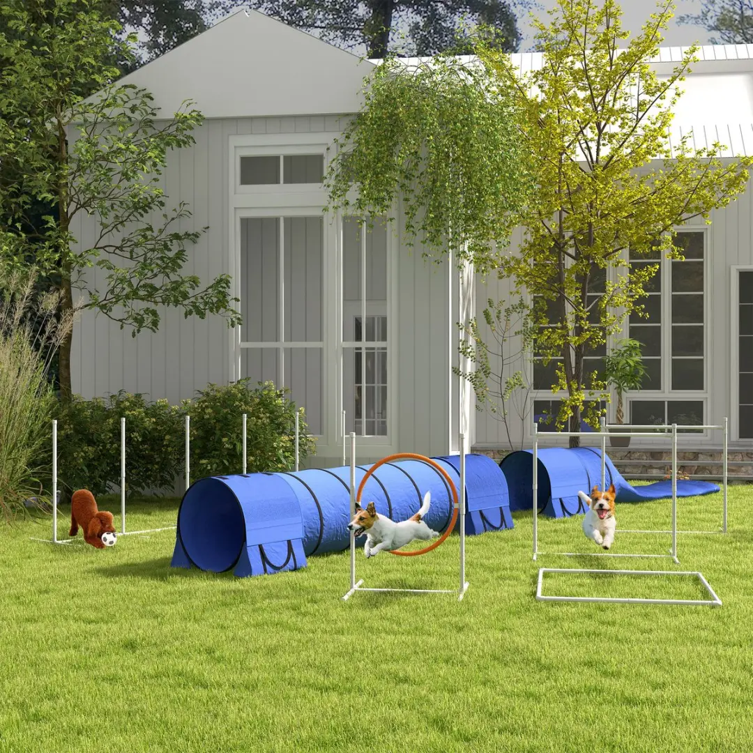 Pawhut Hürdenlaufset D07-044V00 - Blauw - afbeelding 6 van 6