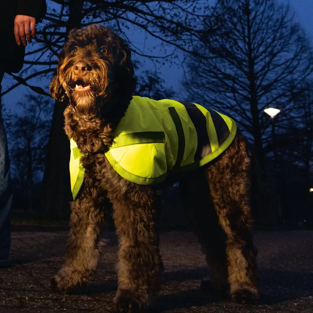 Beeztees Teddie Hondenjas - Reflecterend Geel M - afbeelding 6 van 6