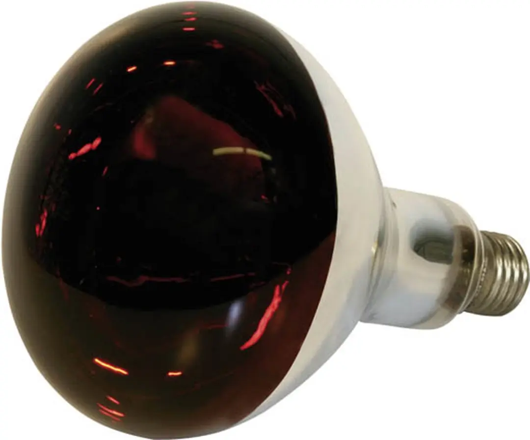 Kerbl Infrarood Warmtelamp Rood E27 150W