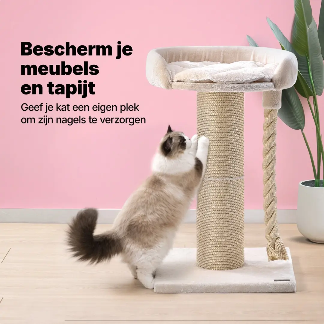 Jake and Jacky Krabpaal Grote Katten - 2 Niveaus - 57x57x90cm - Ø20cm Sisal