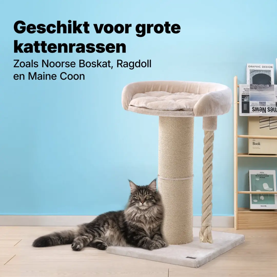 Jake and Jacky Krabpaal Grote Katten - 2 Niveaus - 57x57x90cm - Ø20cm Sisal