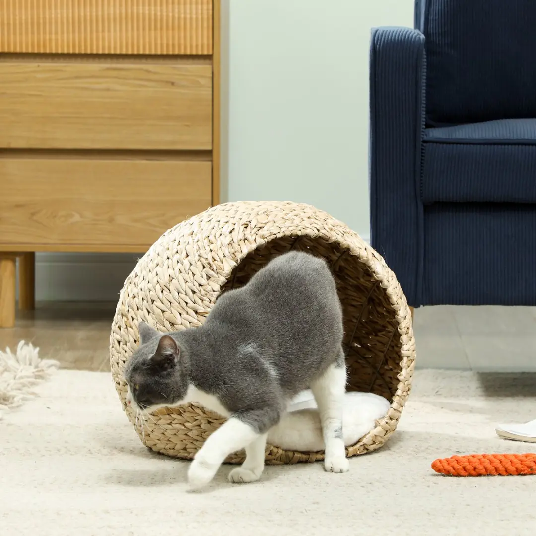 Pawhut Rotan Kattenhuis Spinrok 45x41x37cm - Bruin