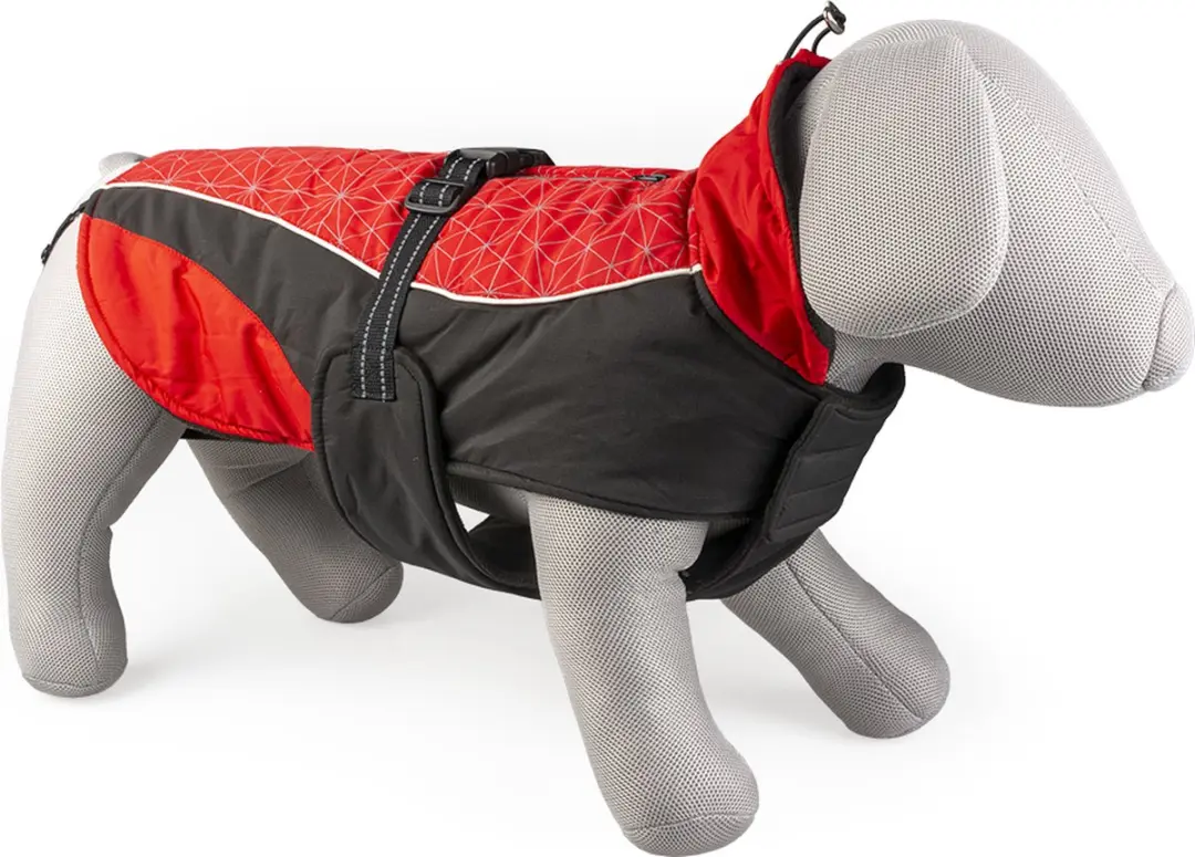 Duvo Dierenkleding Hondenjas Hi Vis Casual XS