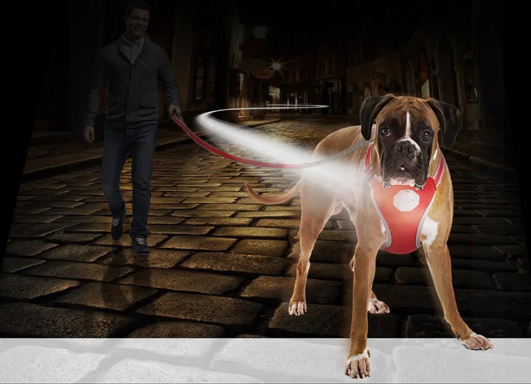 DuvoPlus Flashlight Harnas Hond - L - 120x55-70cm