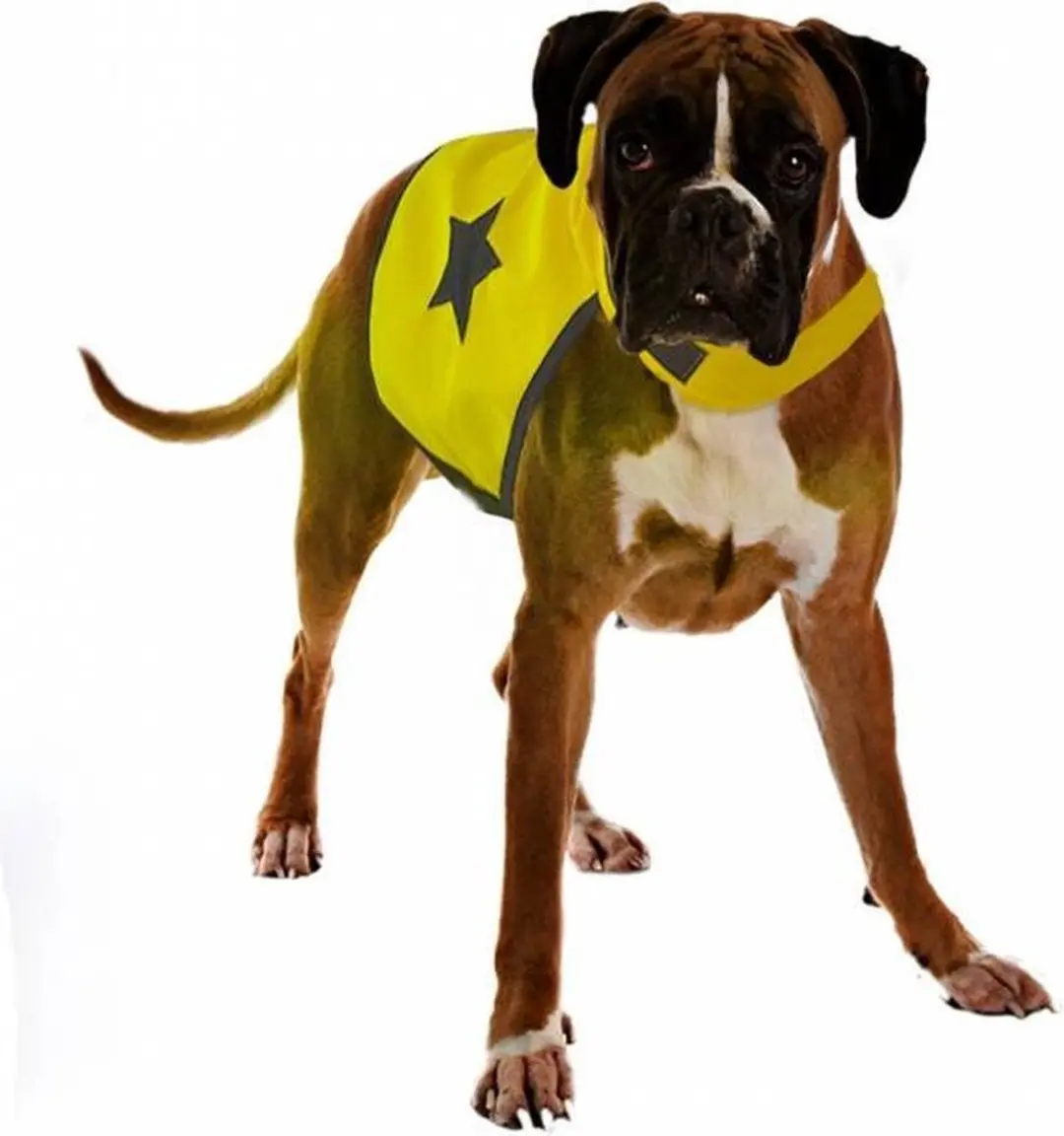Veiligheidsjasje Fluo
