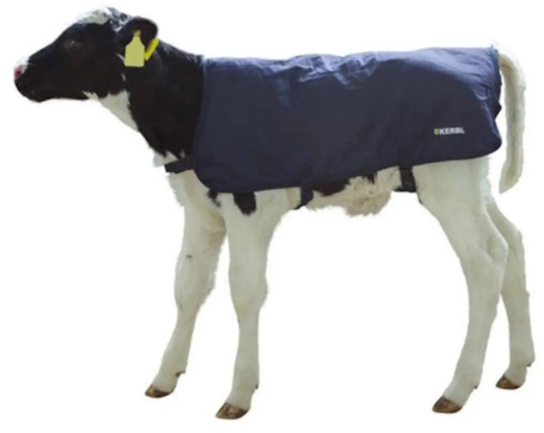 Kerbl EasyWear Kalverdek