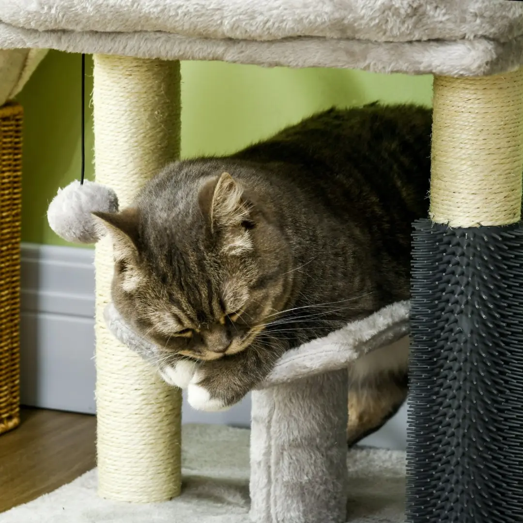 Pawhut Kattenkrabpaal Grijs - 2 Niveaus - 2 Ligplekken
