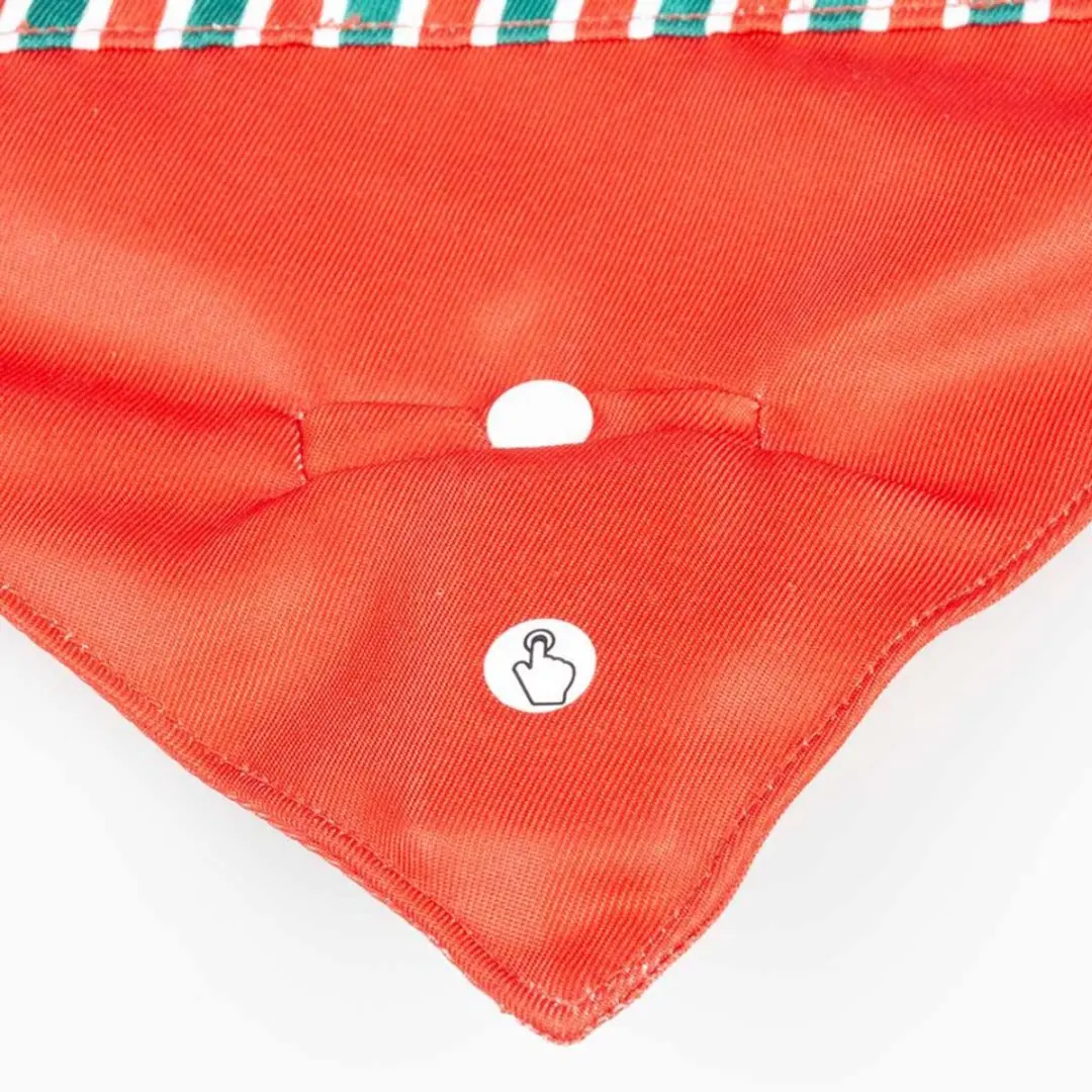 Honden Bandana Duvo+ Xmas Flash LED Bandana