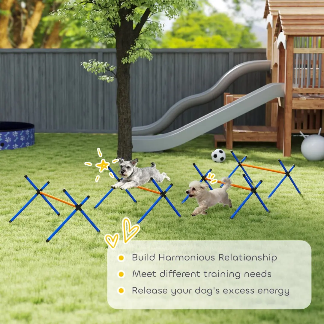 Pawhut Honden Agilityset 4-delig - Meerkleurig