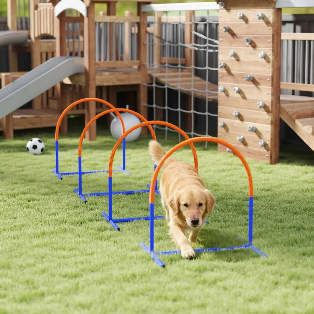Pawhut Hund Agility Set D07-037V00 - Blauw/Orange