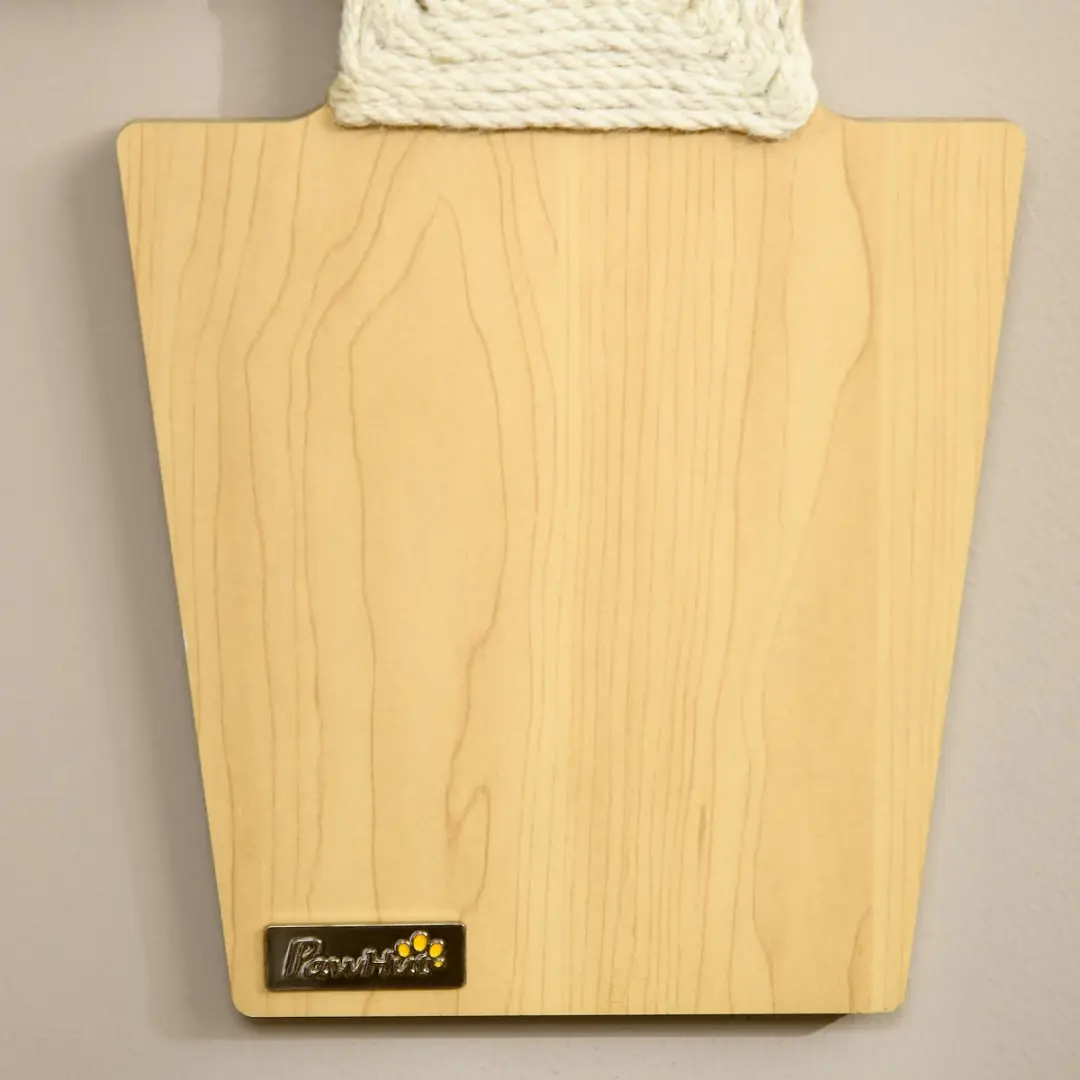 Pawhut Kakteen Kratzmatte Kat 2-delig - 30x60cm