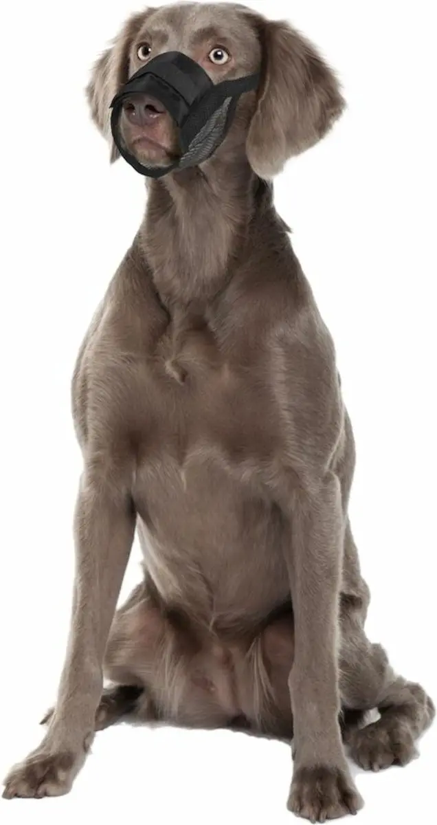 Flamingo Teddie Muilband Honden XL - Zwart