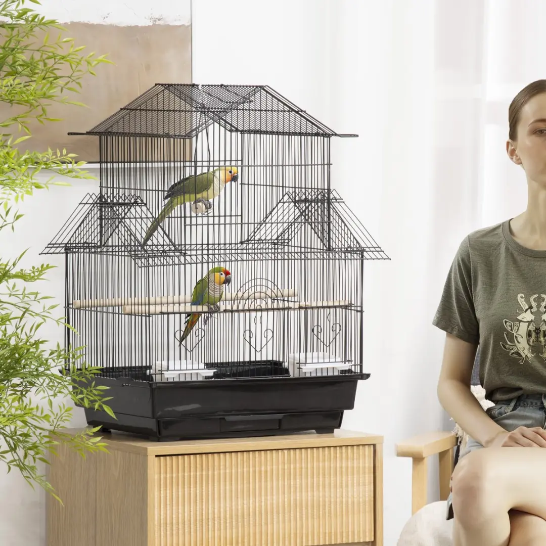 Pawhut Vogelkooi Staal 50,5x41x63cm - Zwart