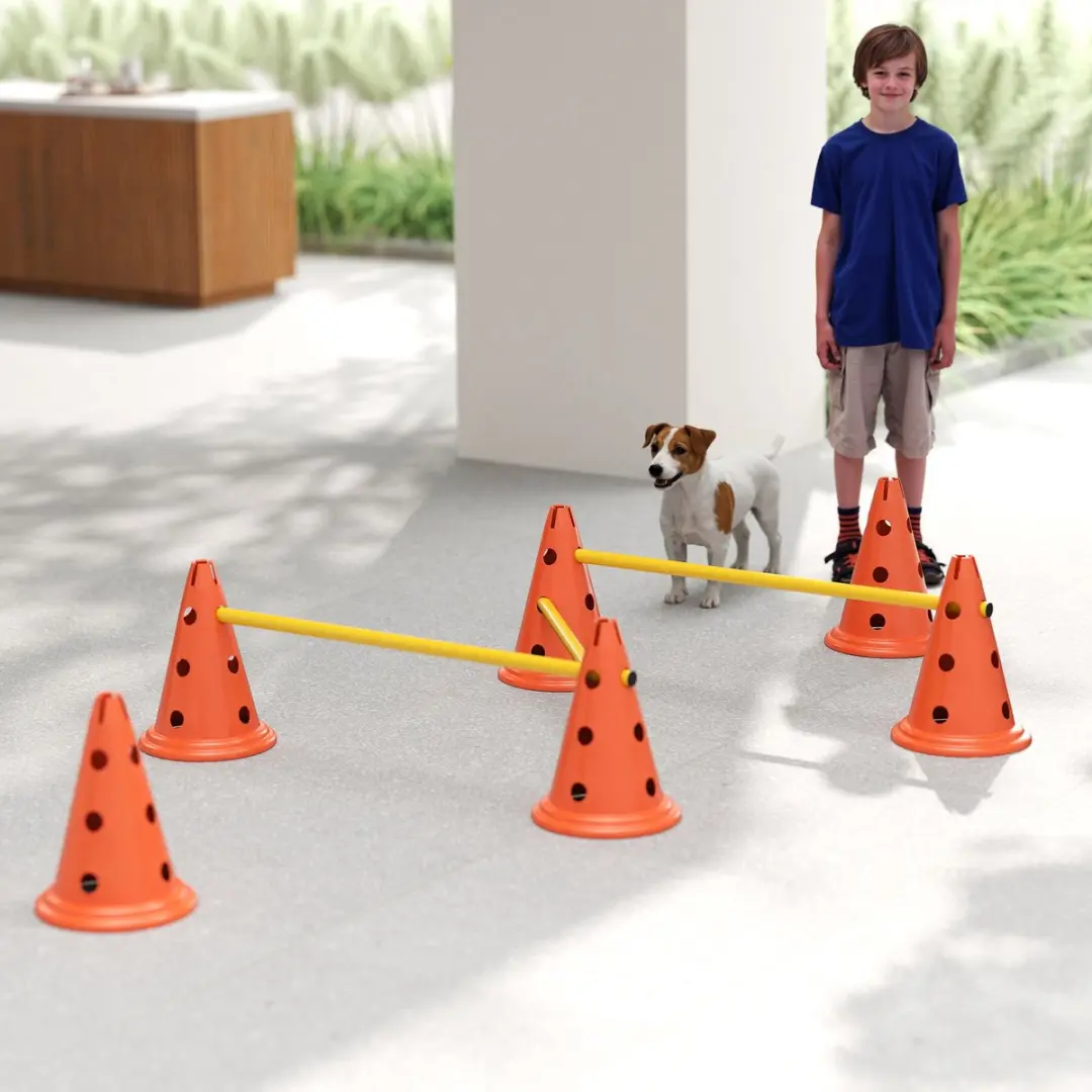 Pawhut Honden Agilityset 16-delig - 3-deilig - Oranje/Geel