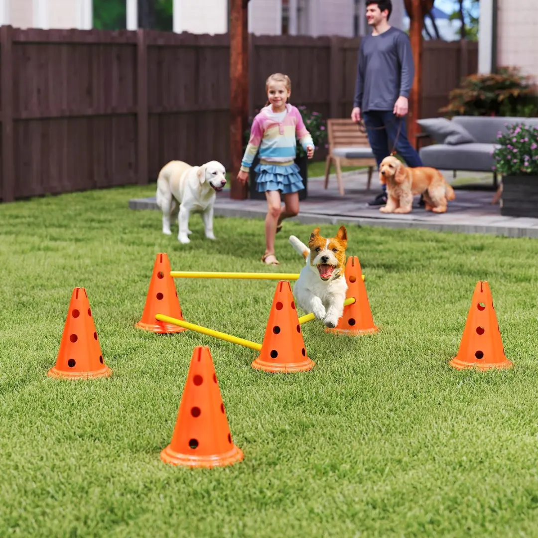 Pawhut Honden Agilityset 16-delig - 3-deilig - Oranje/Geel