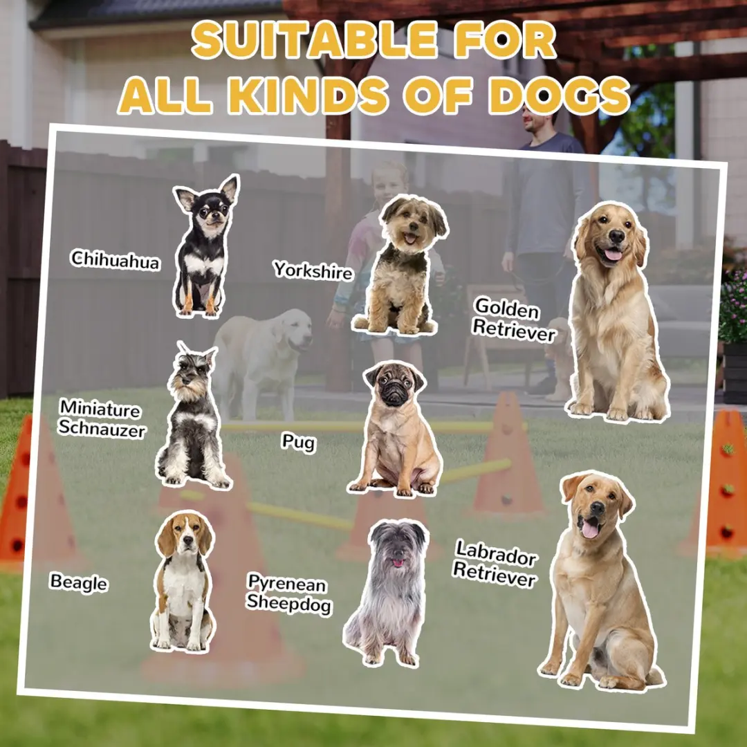 Pawhut Honden Agilityset 16-delig - 3-deilig - Oranje/Geel