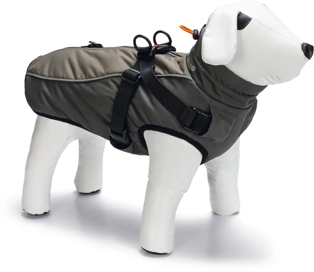Beeztees Milo Hondenjas & Tuig - M - 40cm