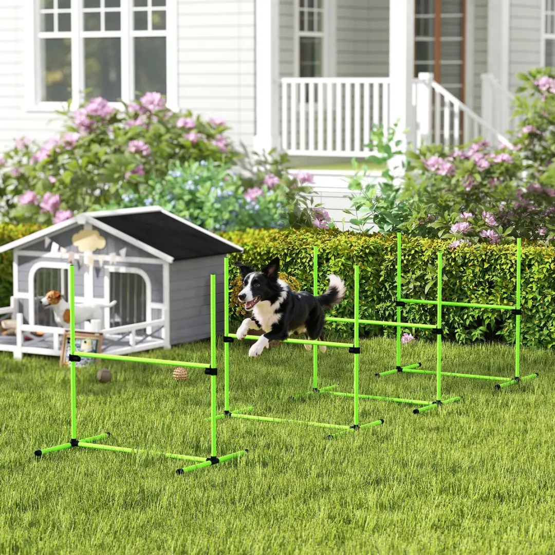 Pawhut Honden Agilityset 4-delig - Groene set
