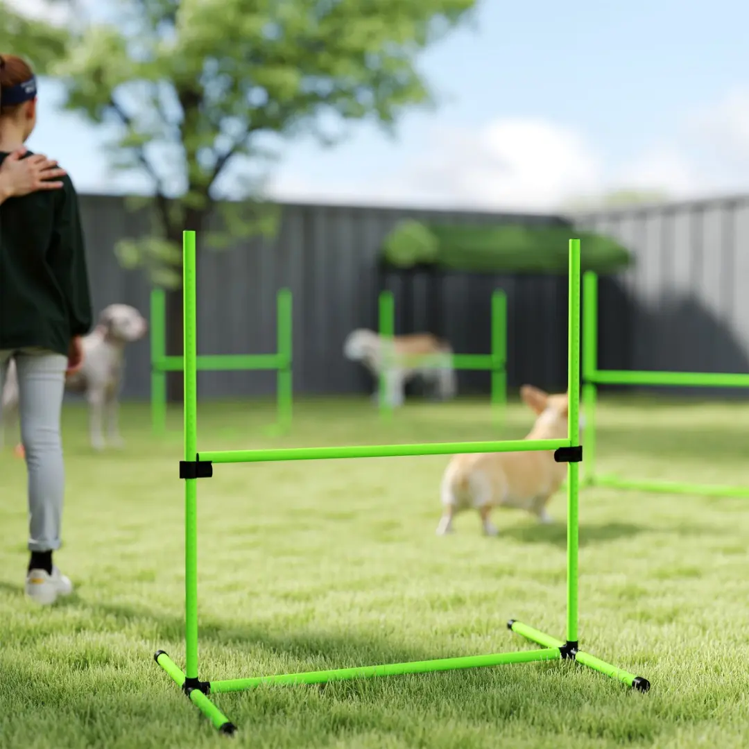 Pawhut Honden Agilityset 4-delig - Groene set