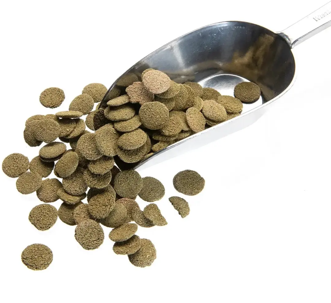 Vivani Algenwafers Spirulina Zinkend Visvoer 5kg