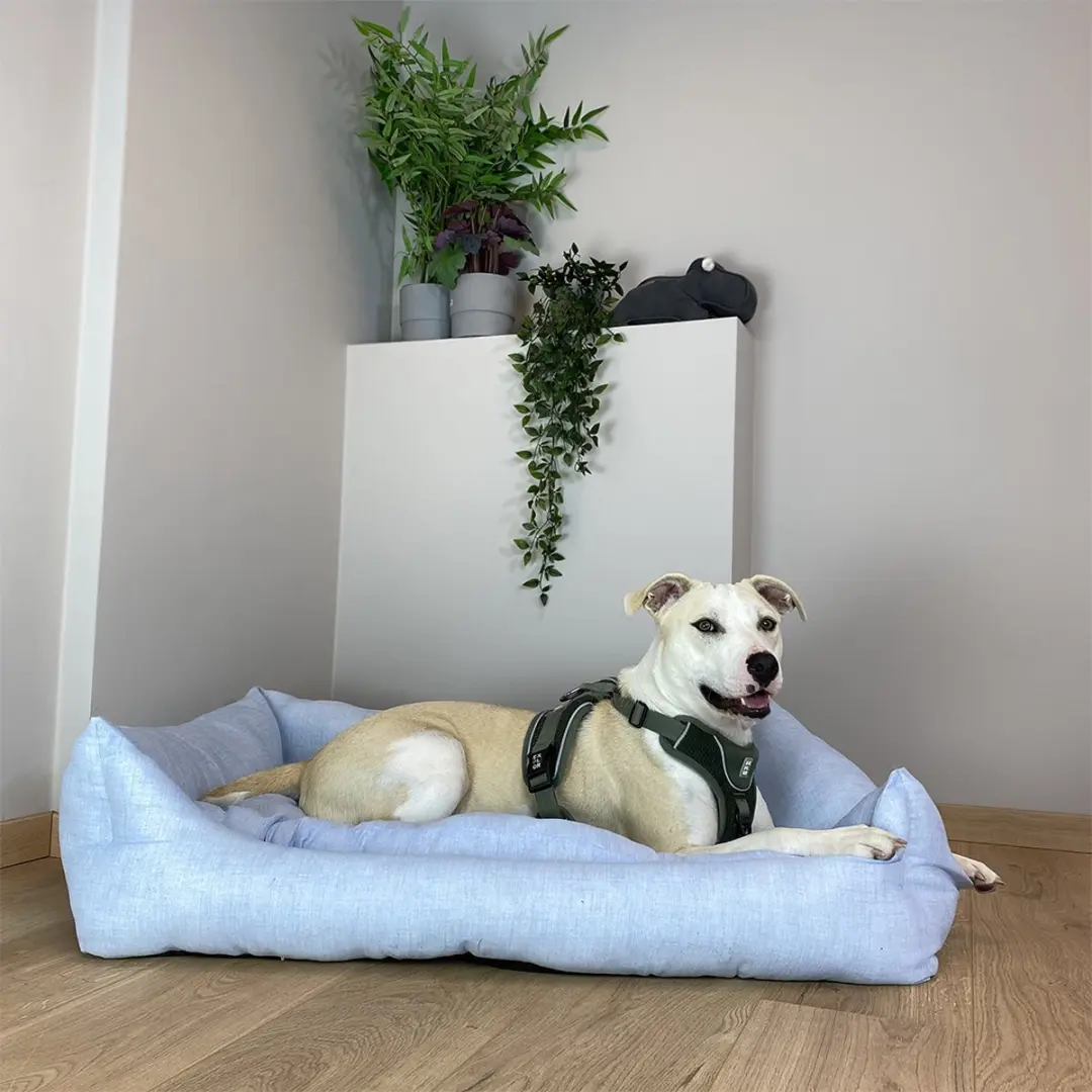 Duvo Dierenkussen Hond Mand Rechthoekig Mellow XS - 45x30x15cm - Blauw