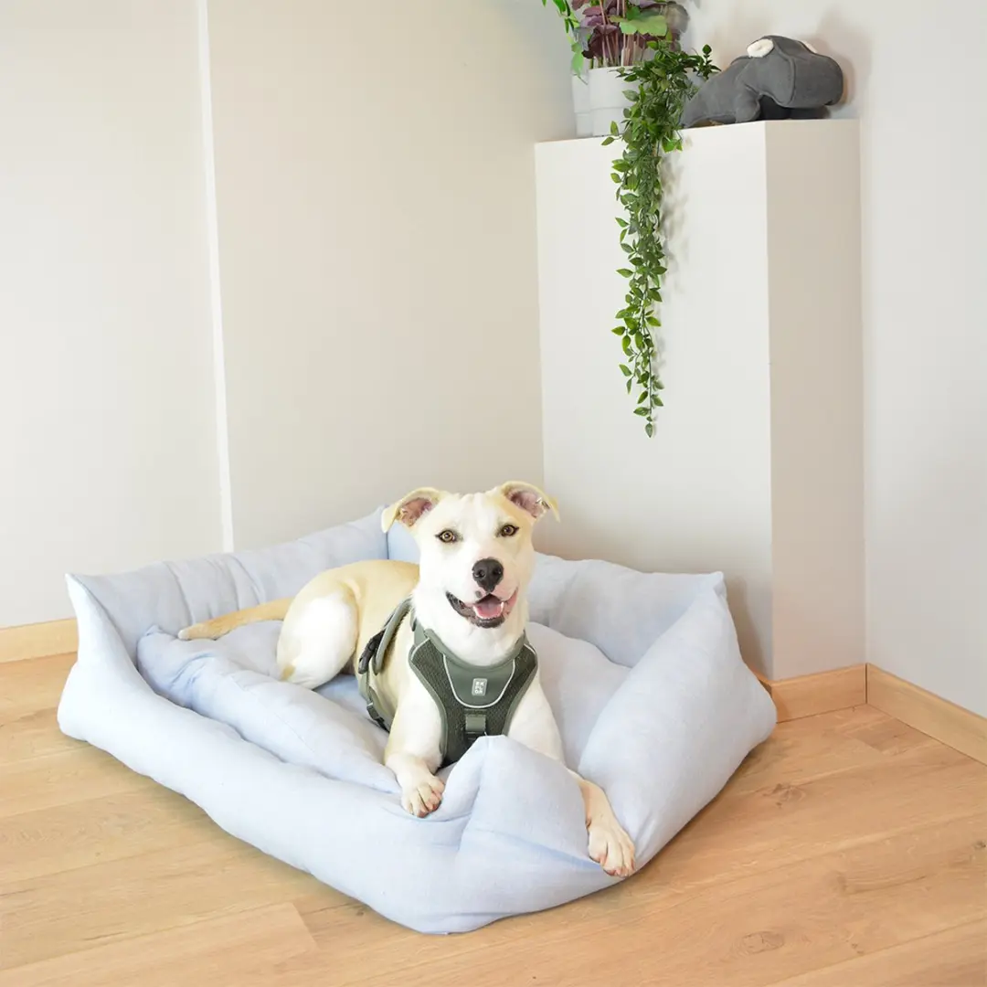 Duvo Dierenkussen Hond Mand Rechthoekig Mellow XS - 45x30x15cm - Blauw - afbeelding 6 van 6