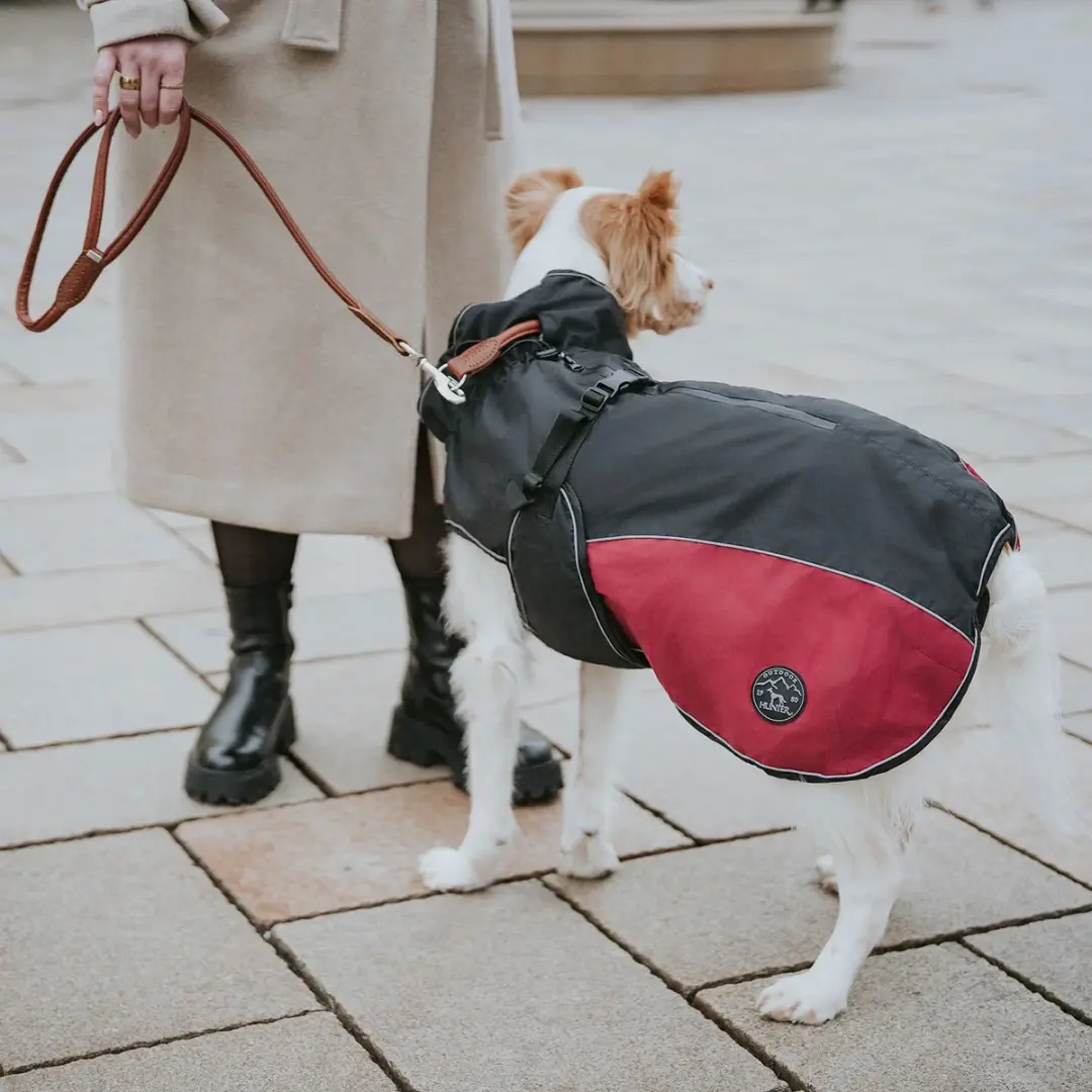 Hunter Uppsala Cozy Hondenjas - Antraciet-Rood - Maat L