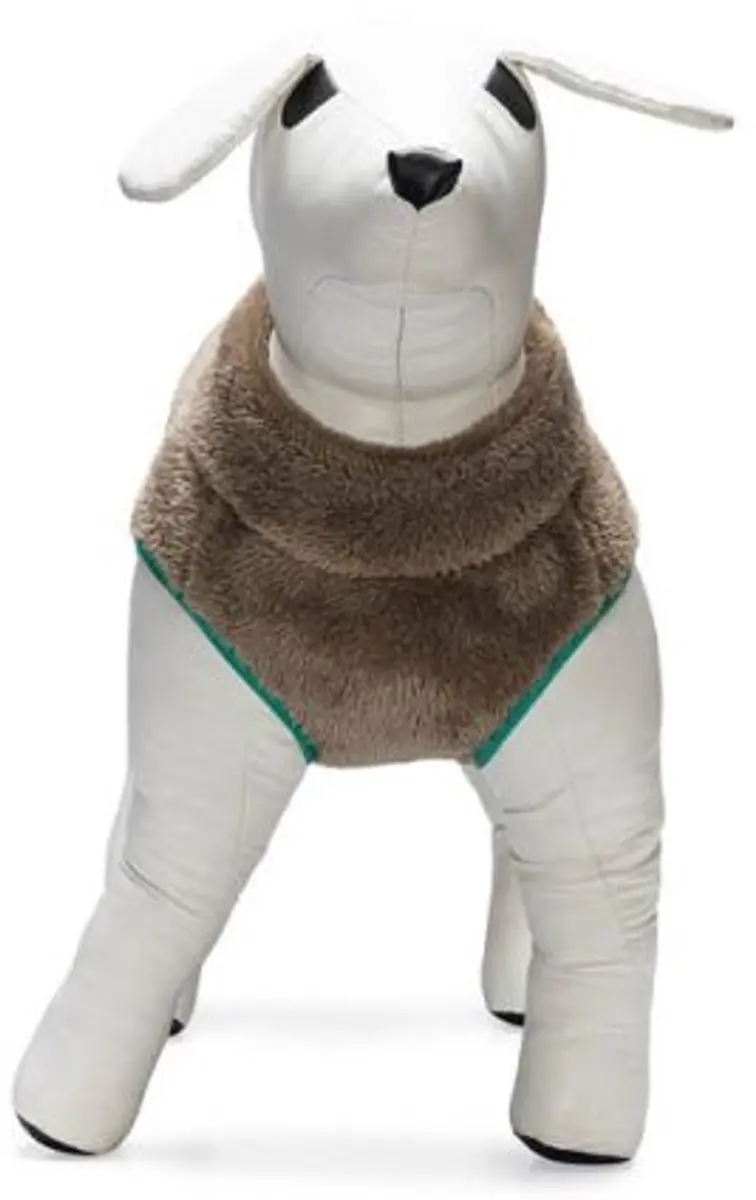 Beeztees Teddy Hondenjas - XS
