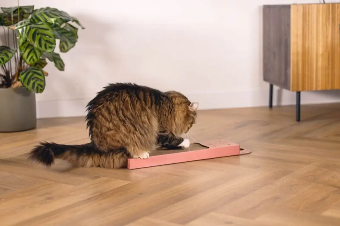 Beeztees Krabplank Luiaard - Roze 45x13x2cm