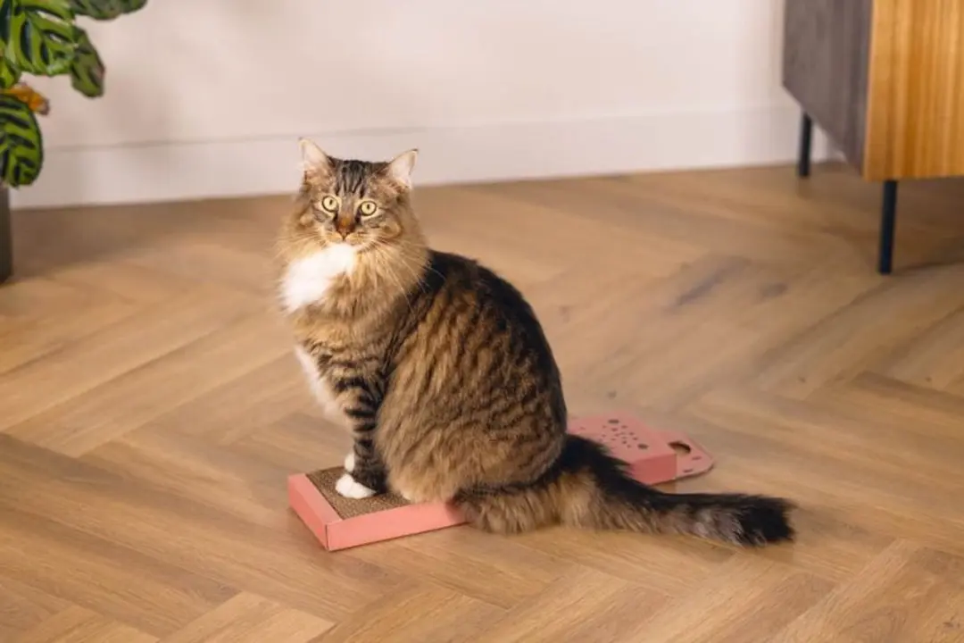 Beeztees Krabplank Luiaard - Roze 45x13x2cm