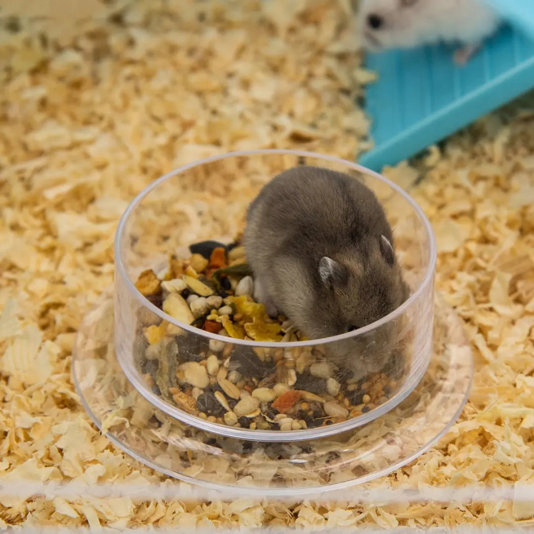Pawhut Hamsterkooi 59x36x47cm - Blauw
