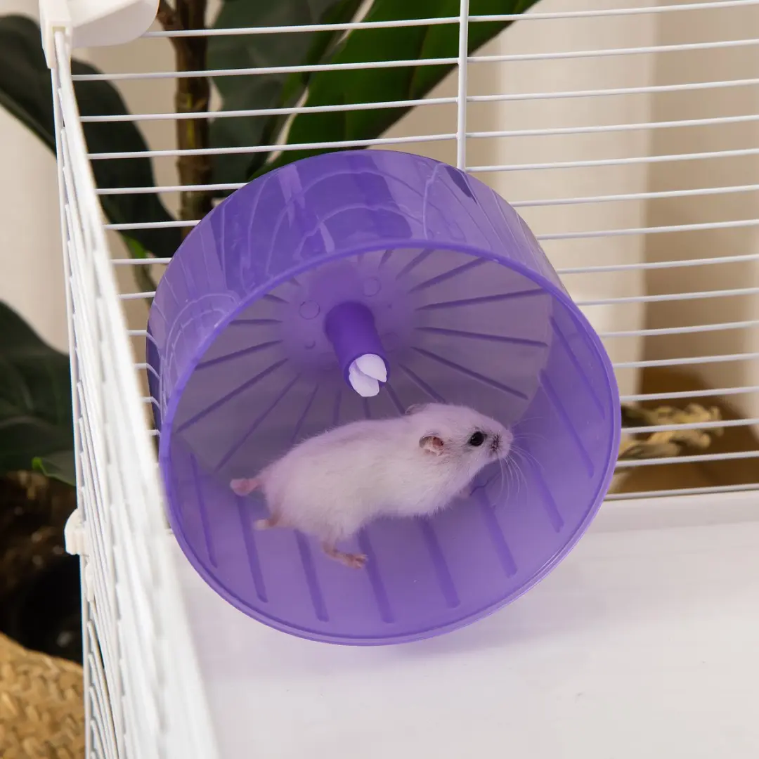 Pawhut Hamsterkooi 59x36x47cm - Blauw