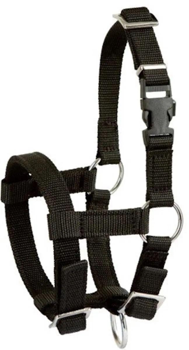 Kerbl Alpaca Halster
